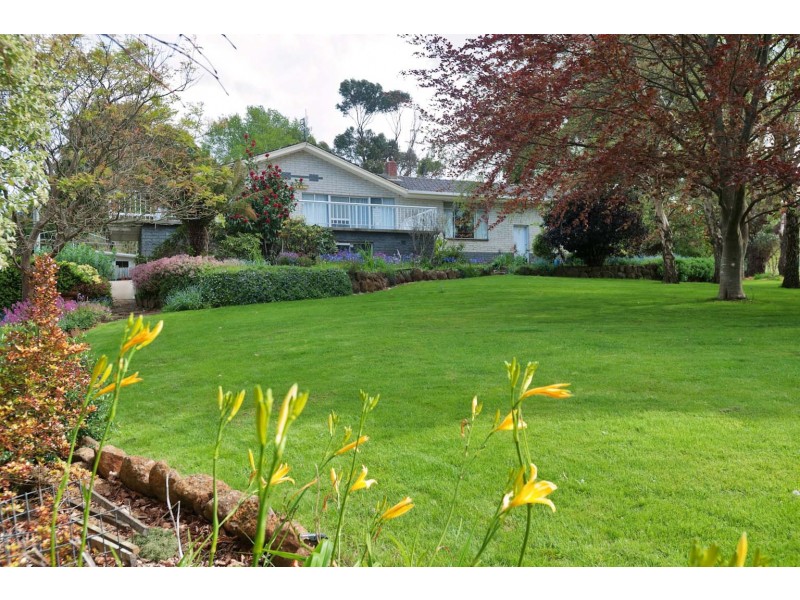 16850 Bass Highway, Flowerdale TAS 7325