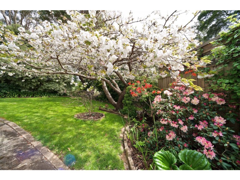 16850 Bass Highway, Flowerdale TAS 7325