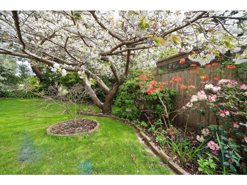 16850 Bass Highway, Flowerdale TAS 7325