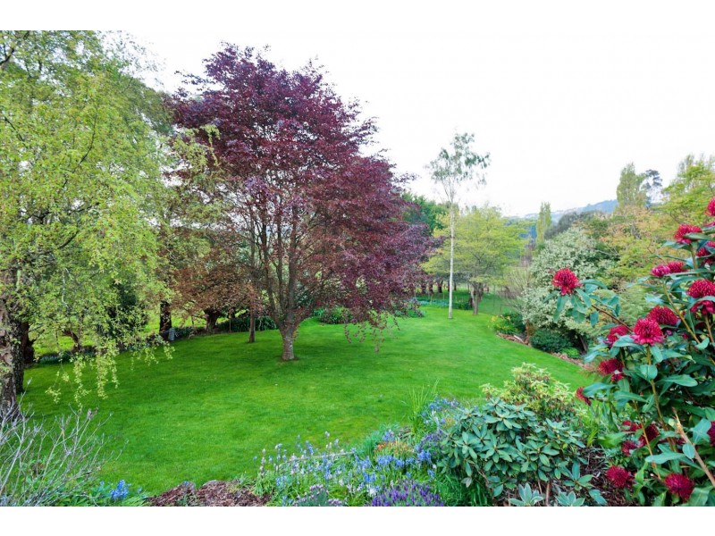 16850 Bass Highway, Flowerdale TAS 7325