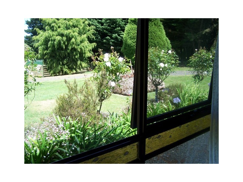 186 Old Mount Hicks Road, Mount Hicks TAS 7325