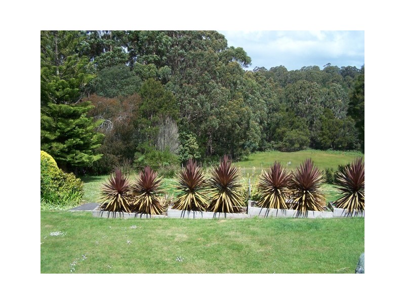 435 Calder Road, Calder TAS 7325