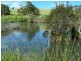 16835 Bass Highway, Flowerdale TAS 7325