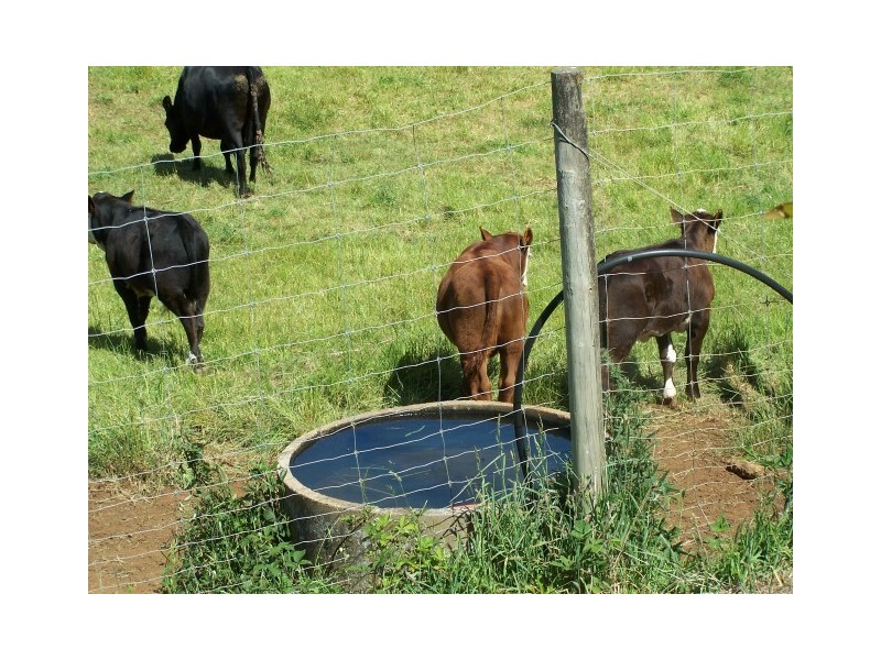 16835 Bass Highway, Flowerdale TAS 7325