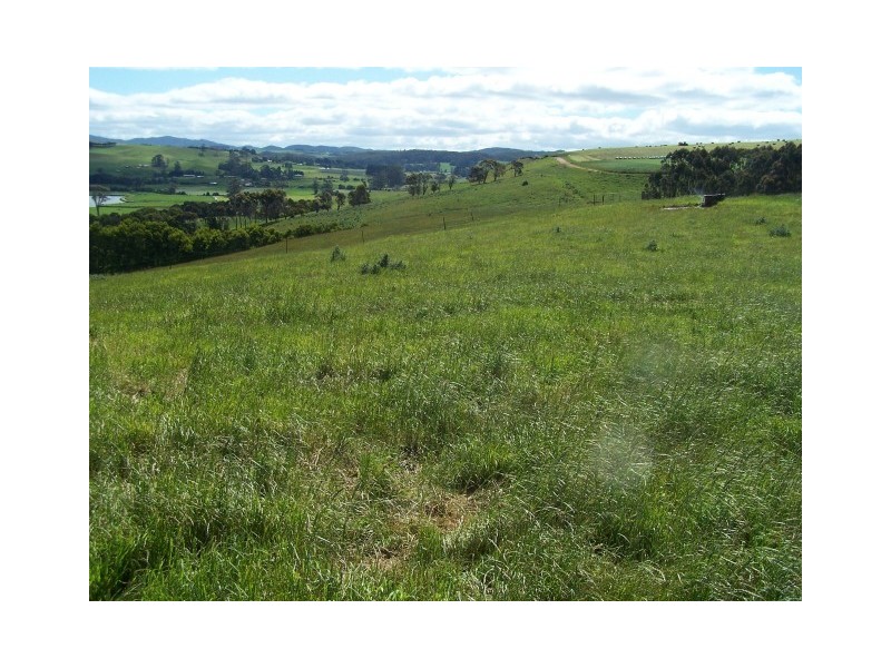 16835 Bass Highway, Flowerdale TAS 7325