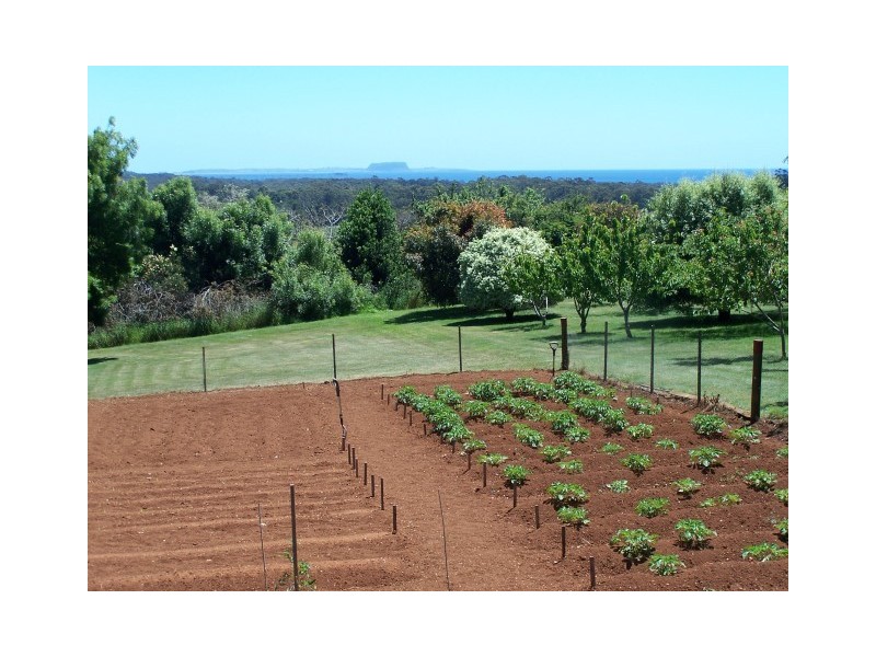 19164 Bass Highway, Rocky Cape TAS 7321