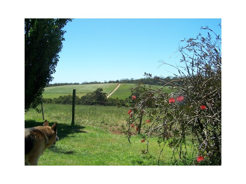 19164 Bass Highway, Rocky Cape TAS 7321