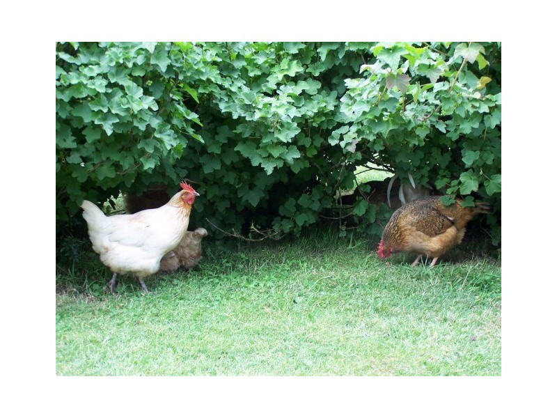 19164 Bass Highway, Rocky Cape TAS 7321