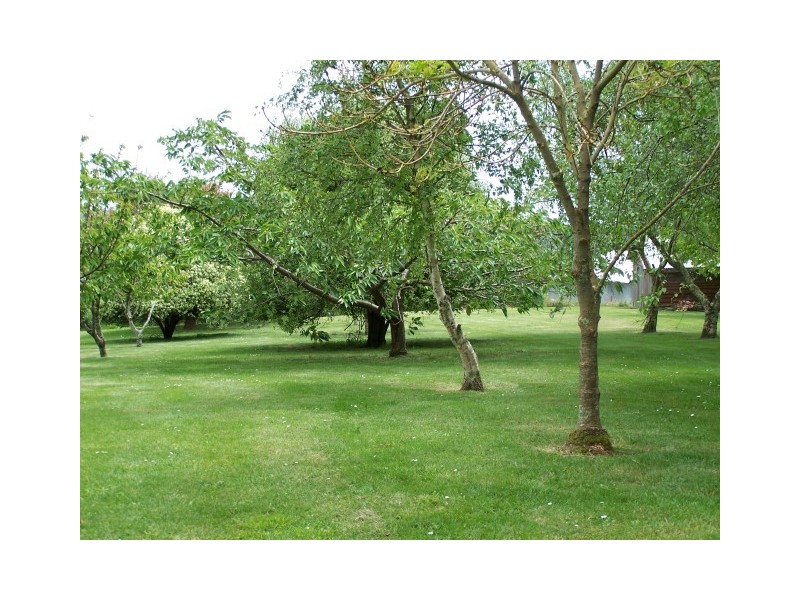 19164 Bass Highway, Rocky Cape TAS 7321