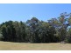 38A York Street, Wynyard TAS 7325