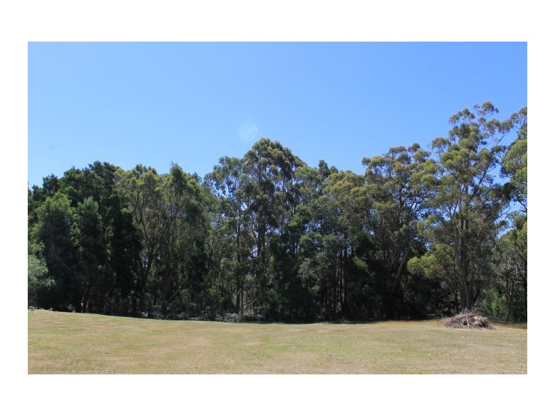 38A York Street, Wynyard TAS 7325