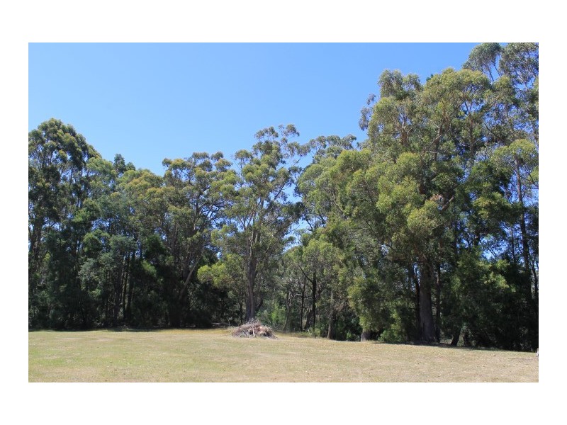 38A York Street, Wynyard TAS 7325