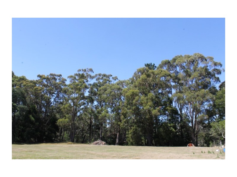 38A York Street, Wynyard TAS 7325