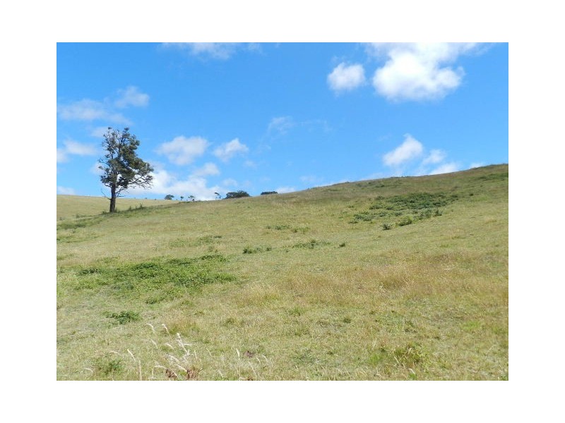 Lot 1, 19 Tippetts Road, Mount Hicks TAS 7325