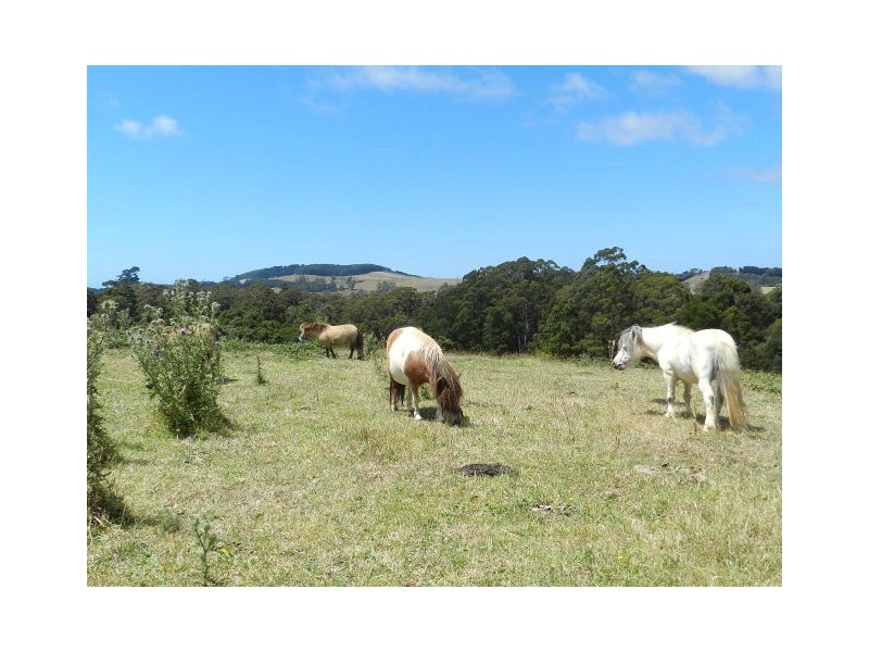 Lot 1, 19 Tippetts Road, Mount Hicks TAS 7325