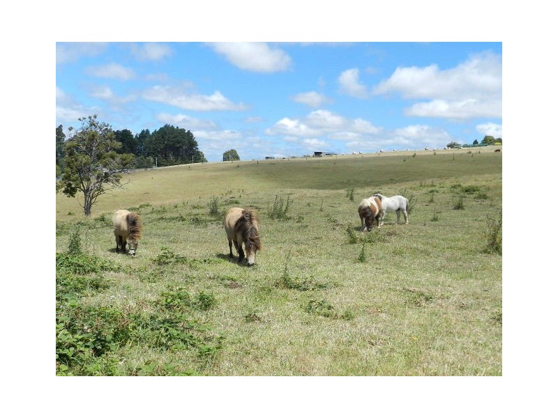 Lot 1, 19 Tippetts Road, Mount Hicks TAS 7325