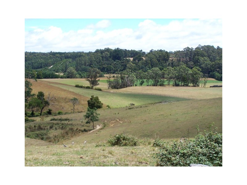 172 Oldina Road, Oldina TAS 7325