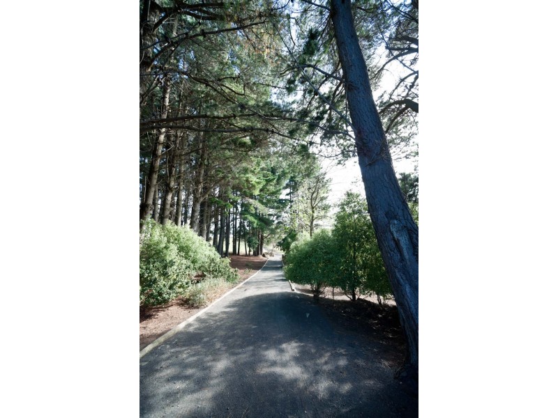 20 Brunts Road, Boat Harbour TAS 7321