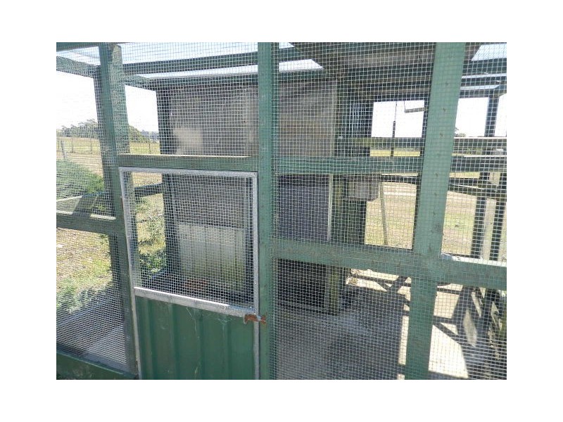 1155 Deep Creek Road, Mount Hicks TAS 7325