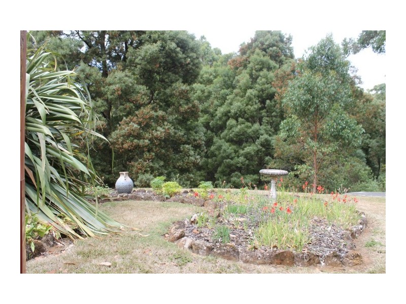 122 Tippetts Road, Mount Hicks TAS 7325