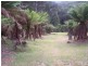 52 Ten Foot Track, Preolenna TAS 7325