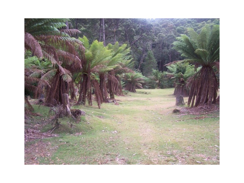 52 Ten Foot Track, Preolenna TAS 7325