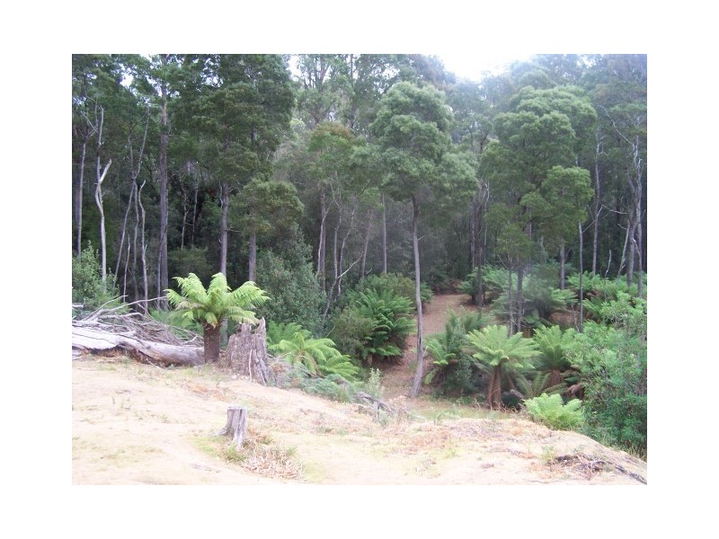52 Ten Foot Track, Preolenna TAS 7325