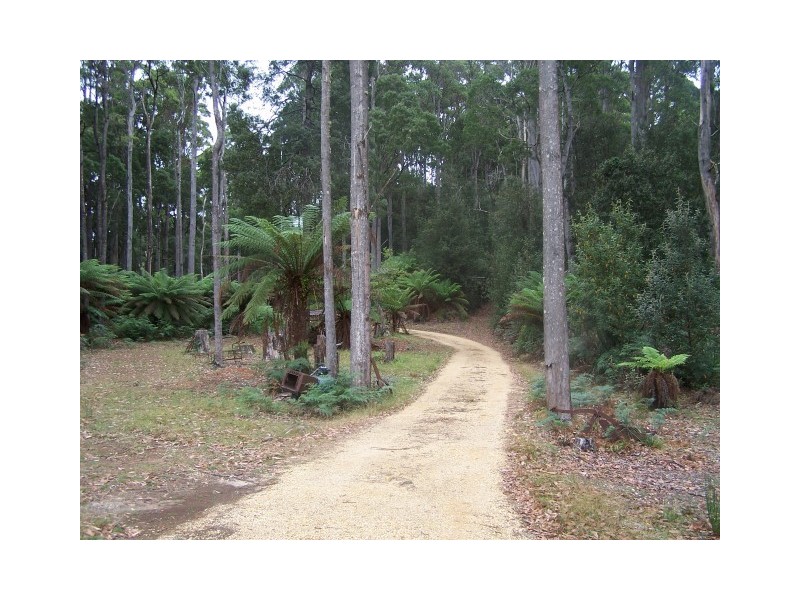52 Ten Foot Track, Preolenna TAS 7325