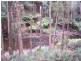 52 Ten Foot Track, Preolenna TAS 7325