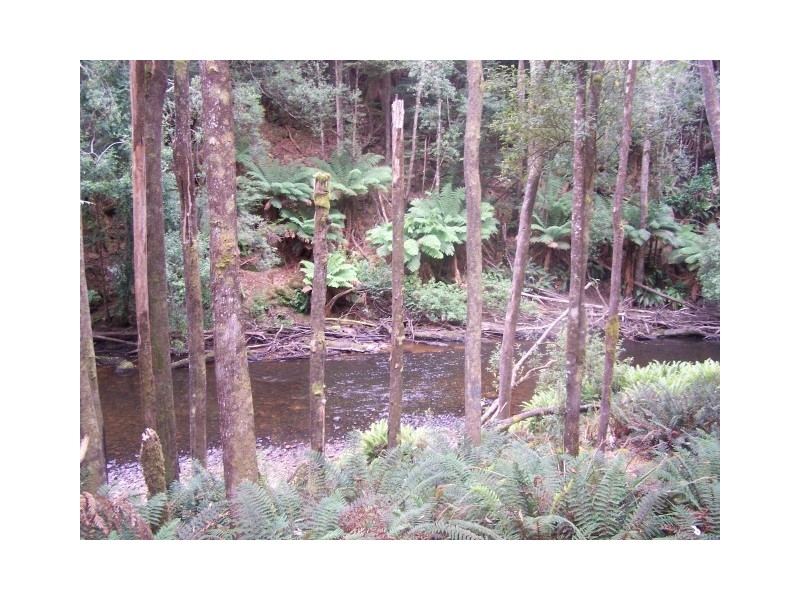 52 Ten Foot Track, Preolenna TAS 7325