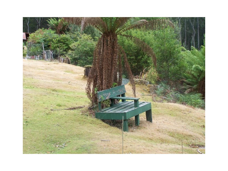 52 Ten Foot Track, Preolenna TAS 7325