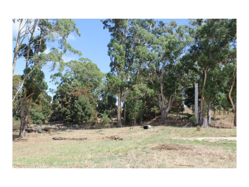 80 Tippetts Road, Mount Hicks TAS 7325