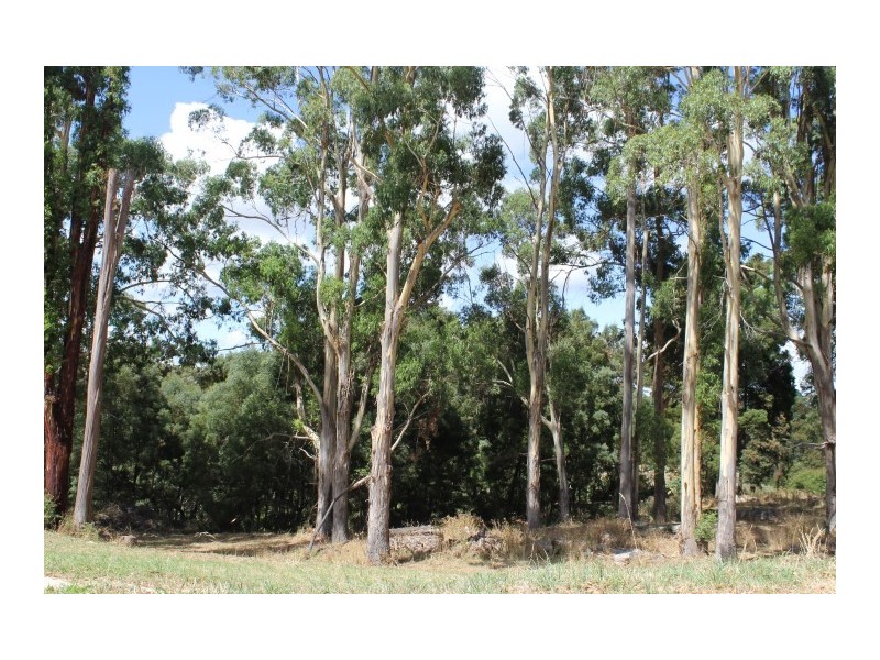 80 Tippetts Road, Mount Hicks TAS 7325