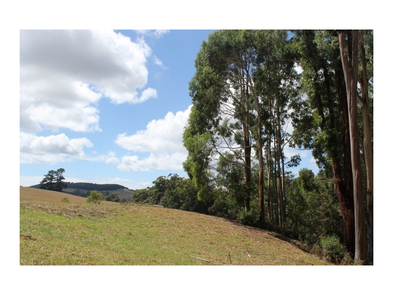 80 Tippetts Road, Mount Hicks TAS 7325