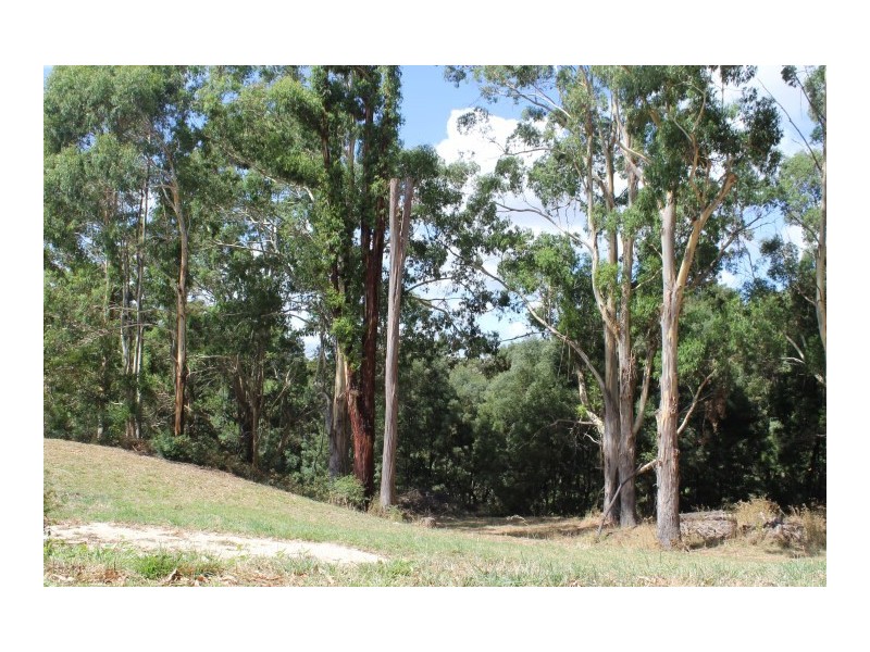 80 Tippetts Road, Mount Hicks TAS 7325