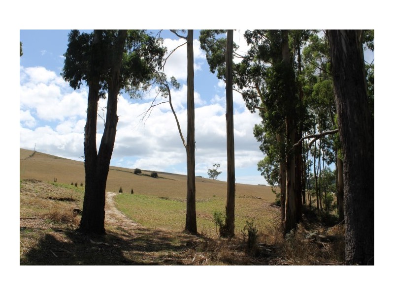 80 Tippetts Road, Mount Hicks TAS 7325