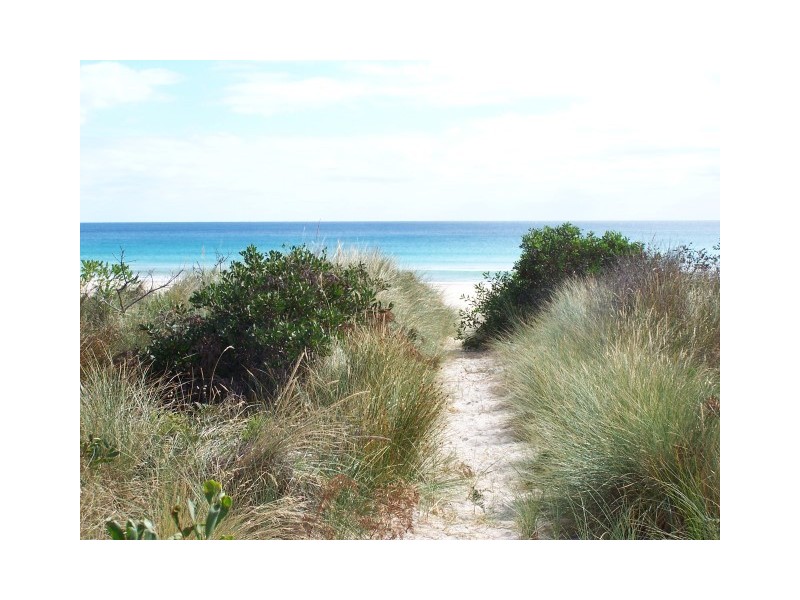 7 East Boulevard, Sisters Beach TAS 7321
