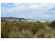 7 East Boulevard, Sisters Beach TAS 7321