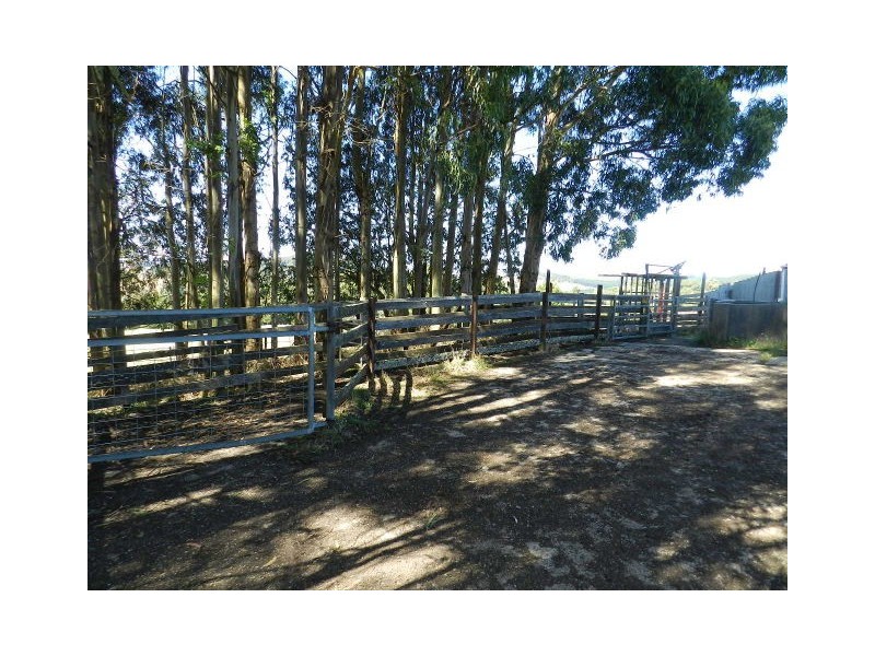 1385 Oldina Road, Oldina TAS 7325