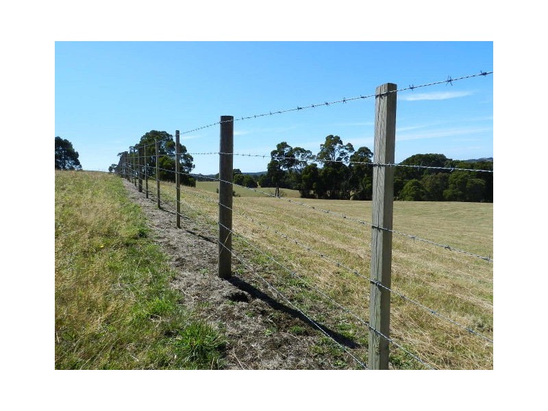 1385 Oldina Road, Oldina TAS 7325