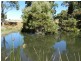 1385 Oldina Road, Oldina TAS 7325