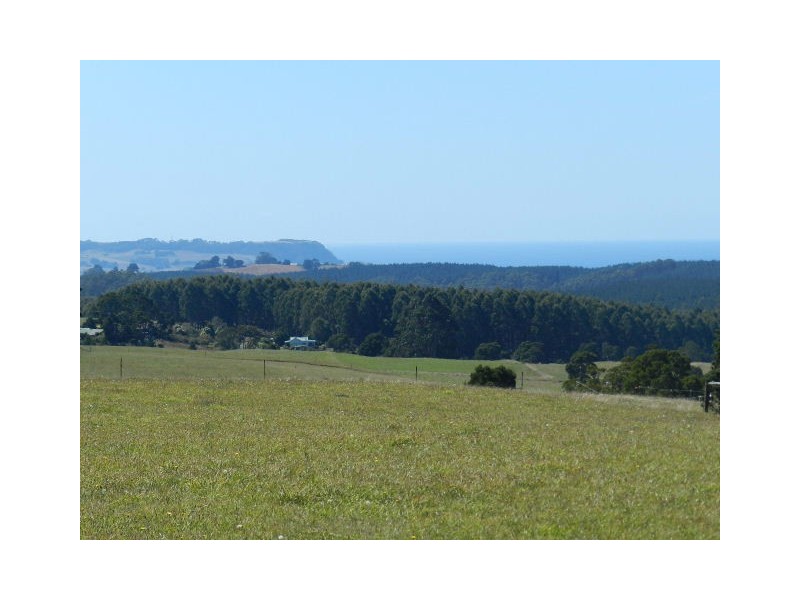 1385 Oldina Road, Oldina TAS 7325