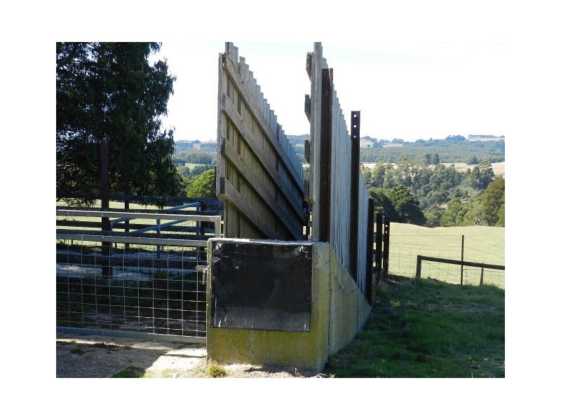 1385 Oldina Road, Oldina TAS 7325