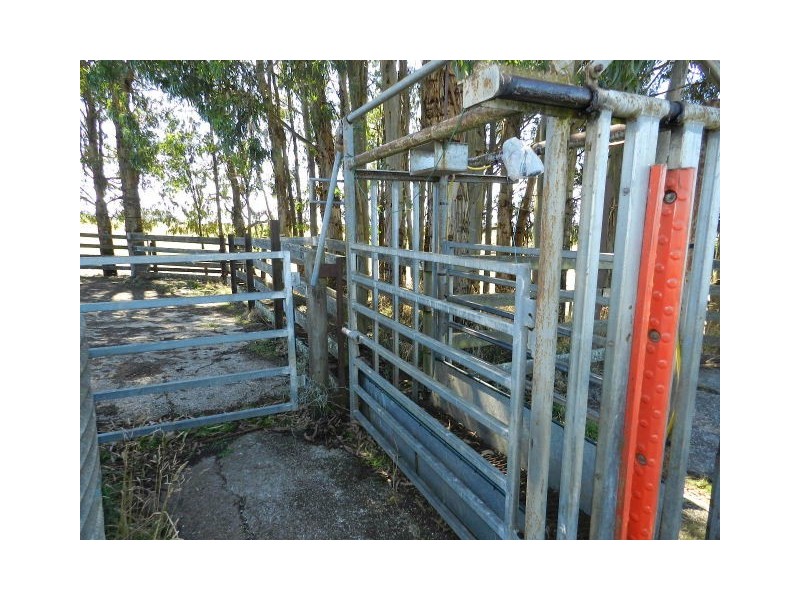 1385 Oldina Road, Oldina TAS 7325