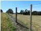 1385 Oldina Road, Oldina TAS 7325