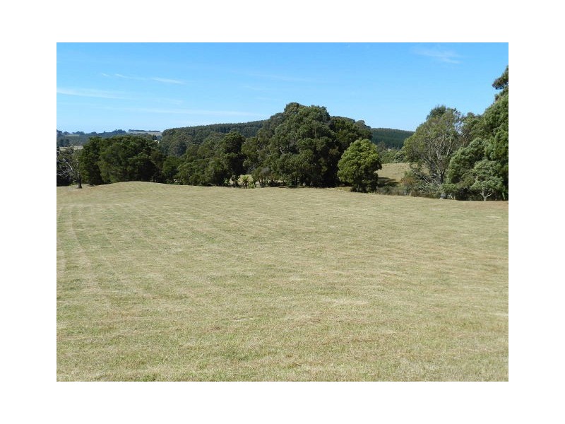 1385 Oldina Road, Oldina TAS 7325