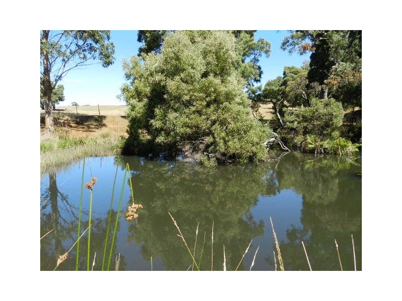 1385 Oldina Road, Oldina TAS 7325