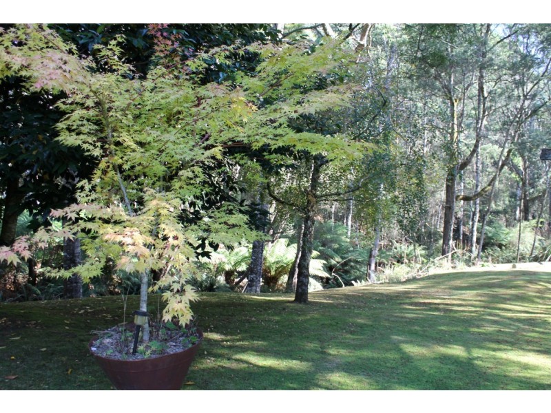 183 Ingleford Road, Calder TAS 7325