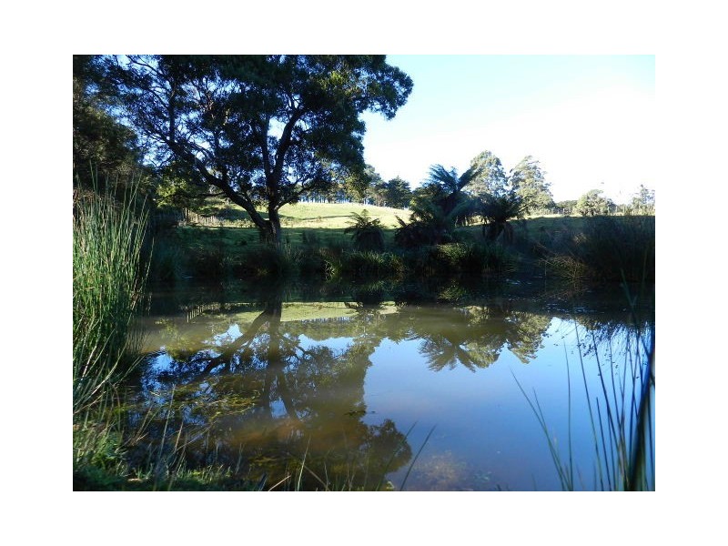 924 Calder Road, Calder TAS 7325