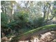 924 Calder Road, Calder TAS 7325